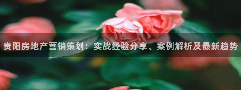 必赢国际437官方简介