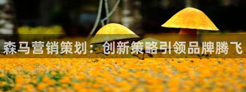 必赢下载安卓版