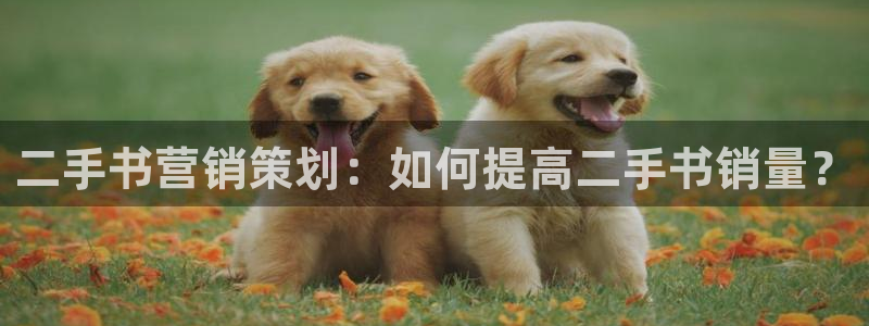 必赢网站