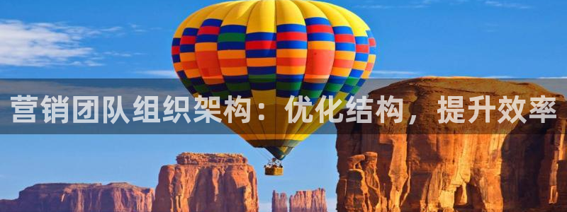 必赢棋脾