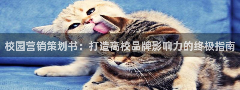 必赢集团网站