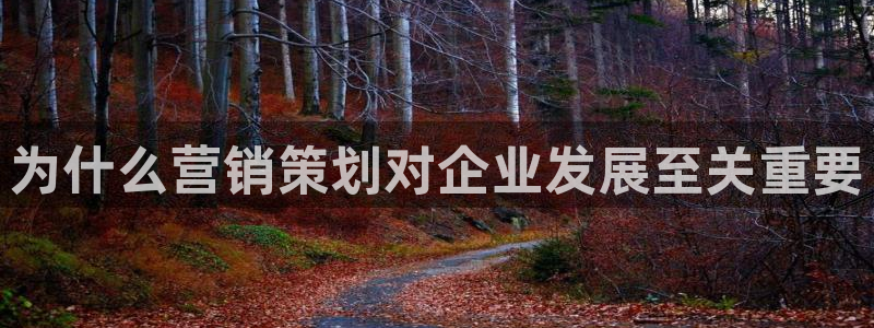 必赢官网下载安装