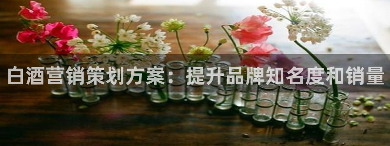 必赢棋脾9655
