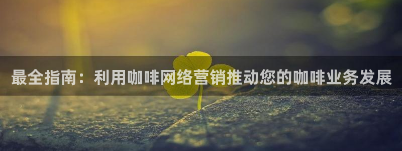 必赢手机版网站多少