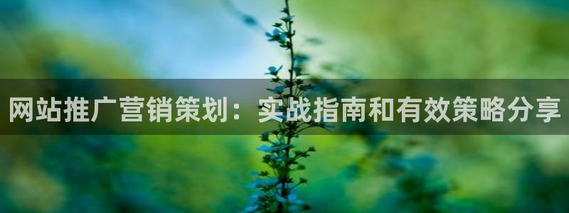 必赢网址谁知道
