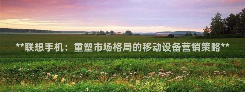 必赢437官网