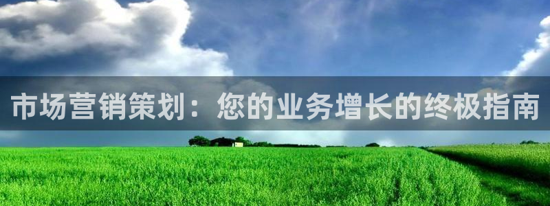 必赢官网网站入口下载