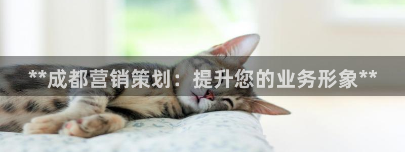 必赢手机app下载 最新版安卓苹果
