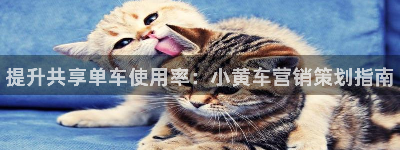 必赢net.95