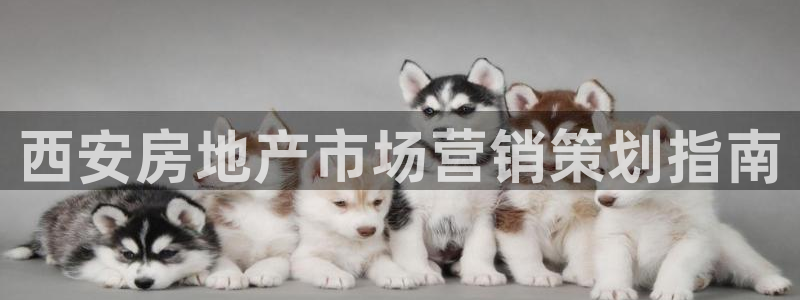 必赢3003必赢贵族宾会