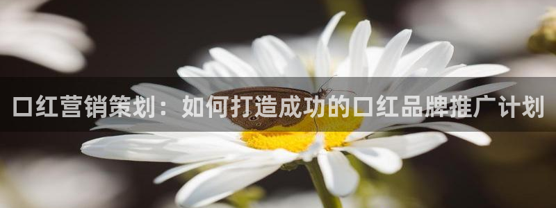 必赢app客户端下载官网手机版