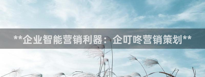 必赢官网入口下载