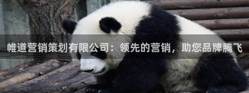 必赢官网网站首页