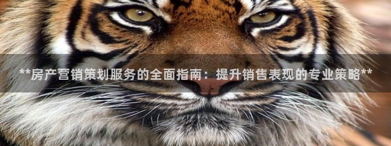必赢手机app下载最新版安卓苹果可以用吗