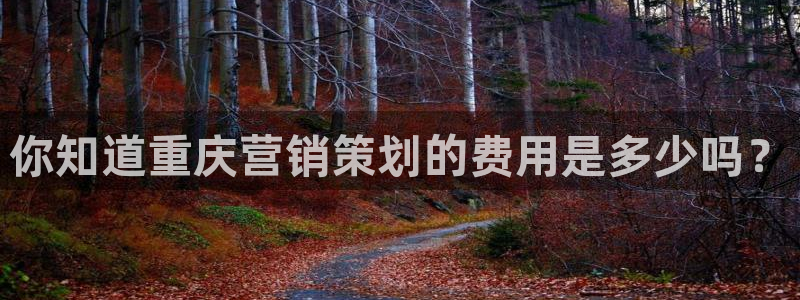 必赢亚赢网站官网下载安卓