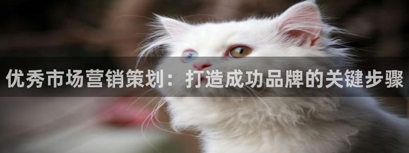 必赢亚赢网站官网下载