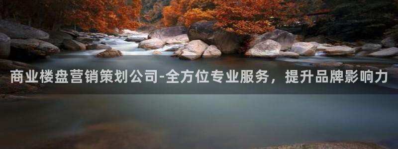 必赢网怎么打不开了