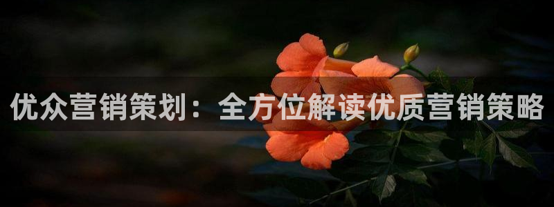 必赢网络游戏平台