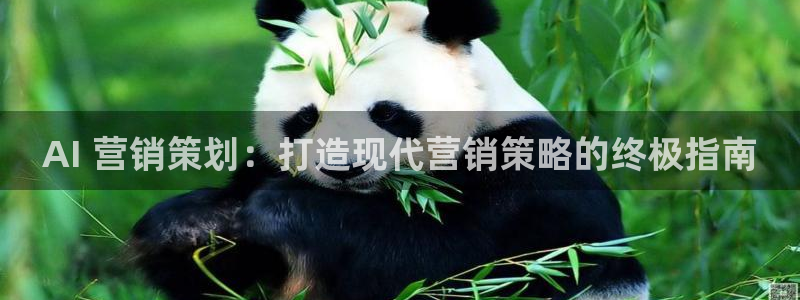 必赢账号