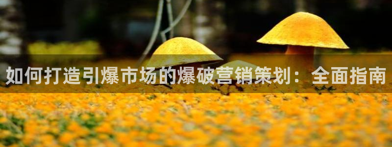 必赢72886网址多少啊