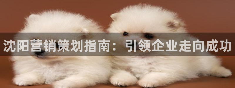 必赢这个软件怎么样啊