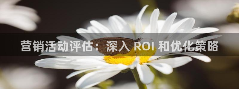 必赢图片