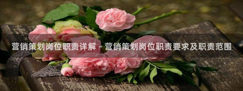 必赢网站有哪些