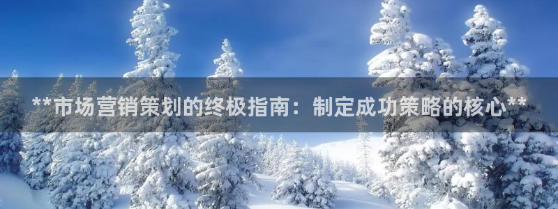 必赢公司是怎样的一家企业