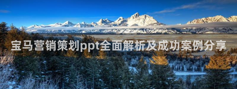 必赢亚赢网站官网下载安装最新版