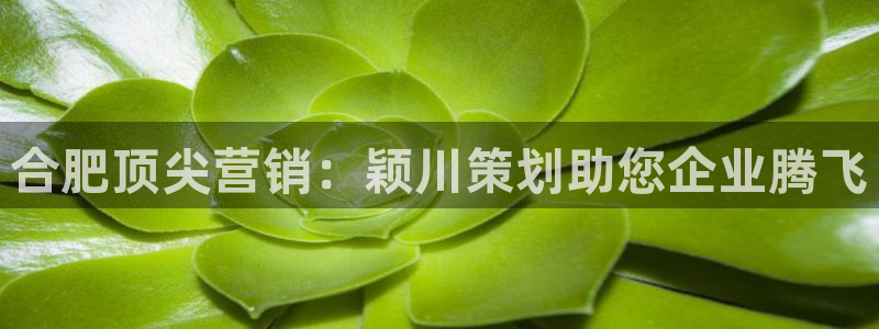 必赢集团网站首页