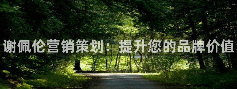 必赢科技北京有限公司