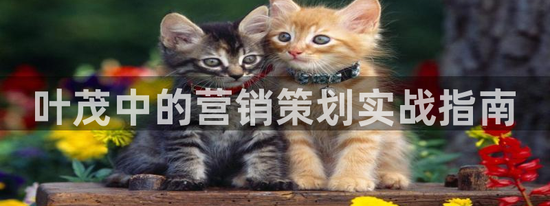 必赢活动iosapp下载