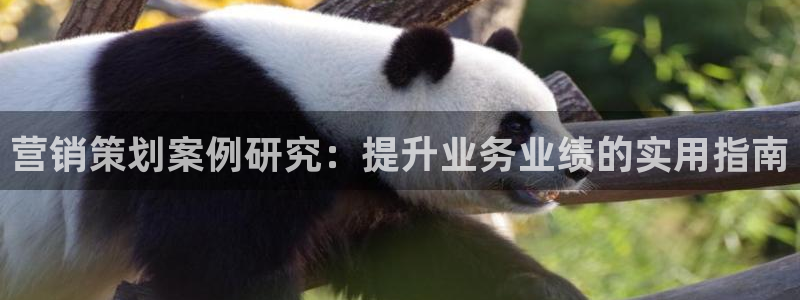 必赢平台网