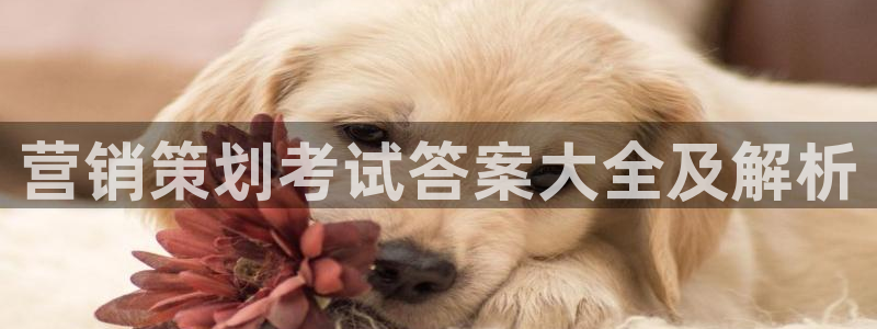 必赢这个平台怎么样知乎