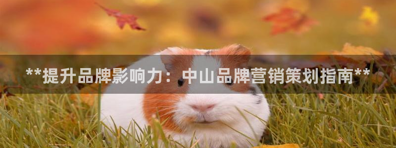 必赢棋脾9655app下载