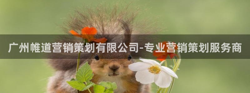 必赢手机app下载最新版安卓苹果可以用吗