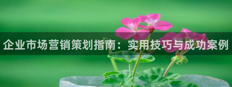 必赢qp