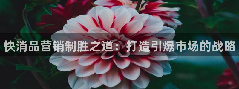 必赢九五
