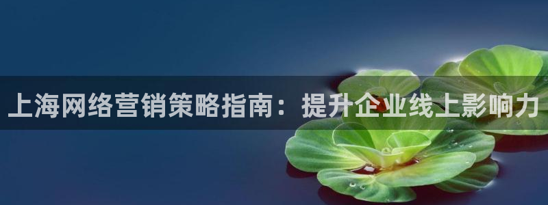 必赢线上网址是什么