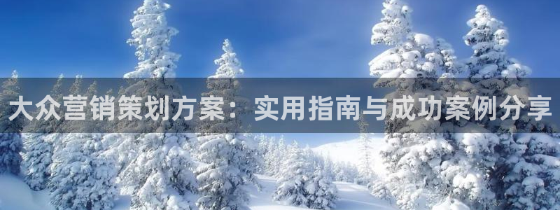 必赢必赢