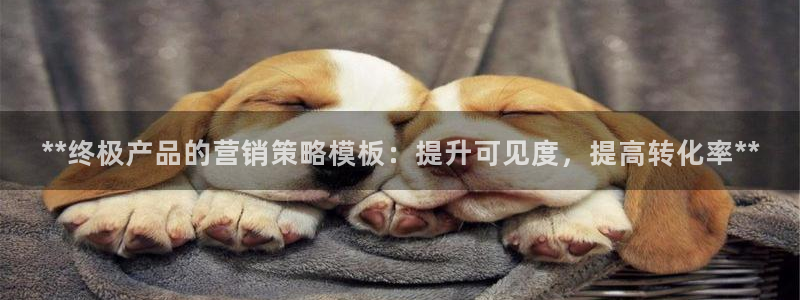 必赢手机app下载 最新版
