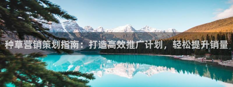 9965必赢游戏网址