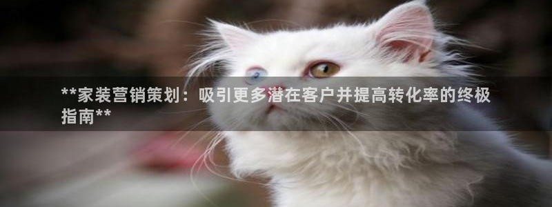 必赢手机app下载安装