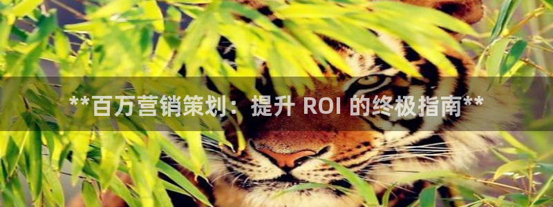 必赢网站是多少啊