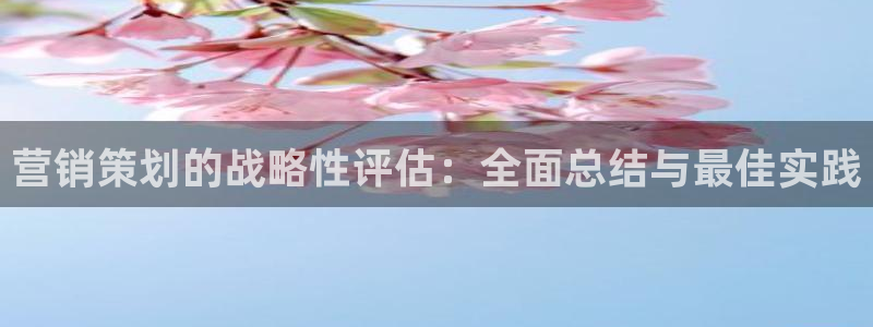 56.nt必赢官网