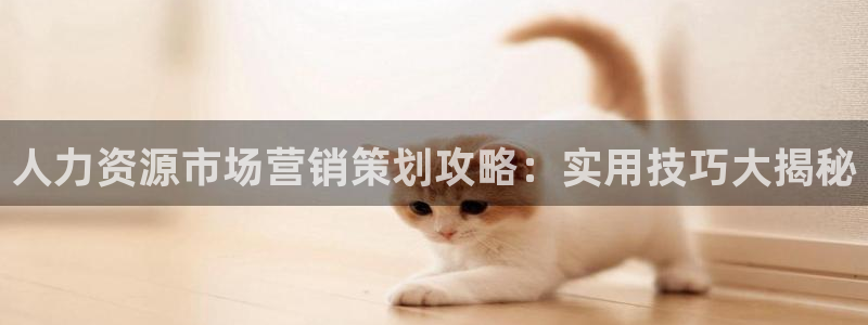 必赢宝是不是合法平台