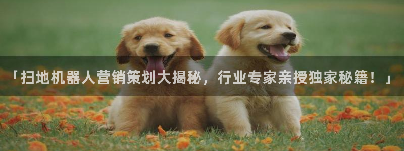 必赢官网app下载安装苹果手机