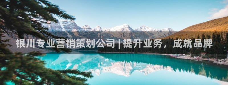 必赢网站有哪些