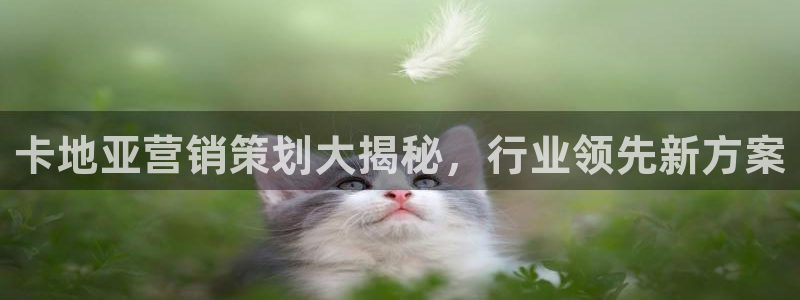 必赢官网app下载苹果版