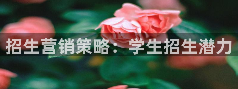 必赢下载安卓版下载